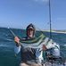 Wayne Caudill - Facebook