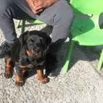 Cecil Wayne Barry Cananie - @cecilwaynebarry - Instagram