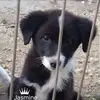 Wayne Chalker - @wayne.chalker - TikTok