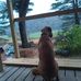 Wayne Chandler - Facebook