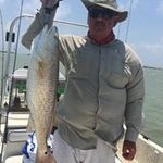 Wayne Chandler - @chandler8847 - Instagram