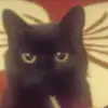 Wayne Chaplin - @wayne.chaplin1 - TikTok