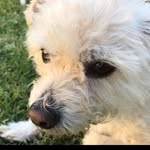 Wayne Chastain - @waynexersize - Instagram