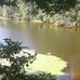 Wayne Cheatham - Facebook