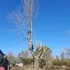 Dwayne Chavis - @dwayne.chavis6 - TikTok