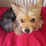 Wayne Cheeseman - Facebook