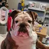 Wayne Cheeseman - @user8172091002562 - TikTok