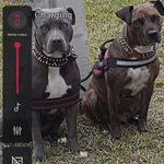 Wayne Cheshire - @wayne.cheshire - Instagram