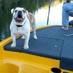 Wayne Childers - @wayne.childers.359 - Instagram