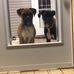 Wayne Caron - Facebook