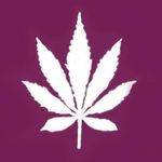 Wayne Clabaugh - @wayne.clabaugh - Instagram