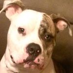 Melody Wayne Clanton - @melodywayneclanton - Instagram