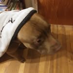 Casen Wayne - @casen_wayne - Instagram