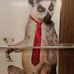 Wayne Clauson - Facebook