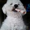 Wayne Claycomb - @wayneclaycomb - TikTok