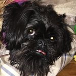 Wayne Cleary - @wcleary210 - Instagram