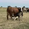 Wayne - @wayne._.clement - TikTok