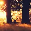 wayneclement861 - @wayneclement861 - TikTok