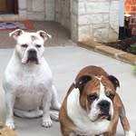 Wayne Cloud - @wayne.cloud - Instagram