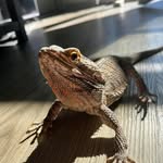 Wayne cloud - @duck.721128 - Instagram