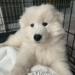 Wayne - @wayne.the.cloud - Instagram