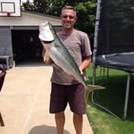 Wayne Clough - @wayneclough64 - Instagram