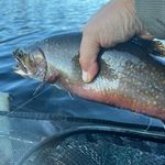 Wayne Clukey - @maineguide1969 - Instagram