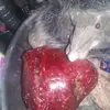Wayne Cobb - @wayne.cobb14 - TikTok