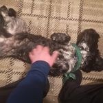 Wayne Coffin - @wayne.coffin - Instagram