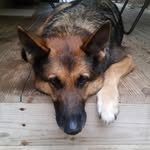 Karen Wayne Coffman - @karenwaynecoffman - Instagram
