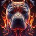 Wayne Coon - Facebook