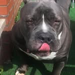 wayne coley - @mc_koka_coley - Instagram