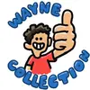 Wayne Collection - @wayne.collection - TikTok