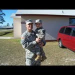 Wayne Collins - @rwaynecollins - Instagram
