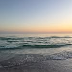 Wayne Comegno - @waynecomegno3 - Instagram