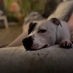 Wayne Compton - @wayne.compton.3139 - Instagram