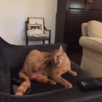 Tabby Wayne Crain Conerly - @mrtabbywayne - Instagram