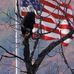 Wayne Conklin - Facebook