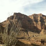 @wayneconklin - Instagram