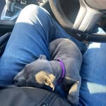 Wayne Connolly - @wayne.connolly.35 - Instagram