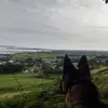 wayneconnolly470 - @wayneconnolly470 - TikTok