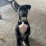 Wayne Conway - @wayneo11111 - Instagram