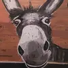 Wayne Conway - @wayne.conway7 - TikTok