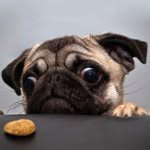 @waynecoogan86 - Instagram