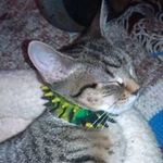 Wayne coombs - @coombswayne - Instagram