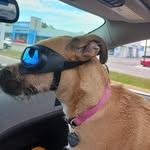 Wayne Coombs - @hawacoo - Instagram