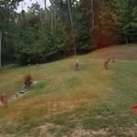 Wayne Coons - @wayne.coons.73 - Instagram