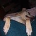 Wayne Corbett - Facebook