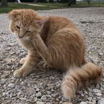 Cain Wayne Corley - @cainthekit - Instagram