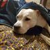 Wayne Cornelius - Facebook